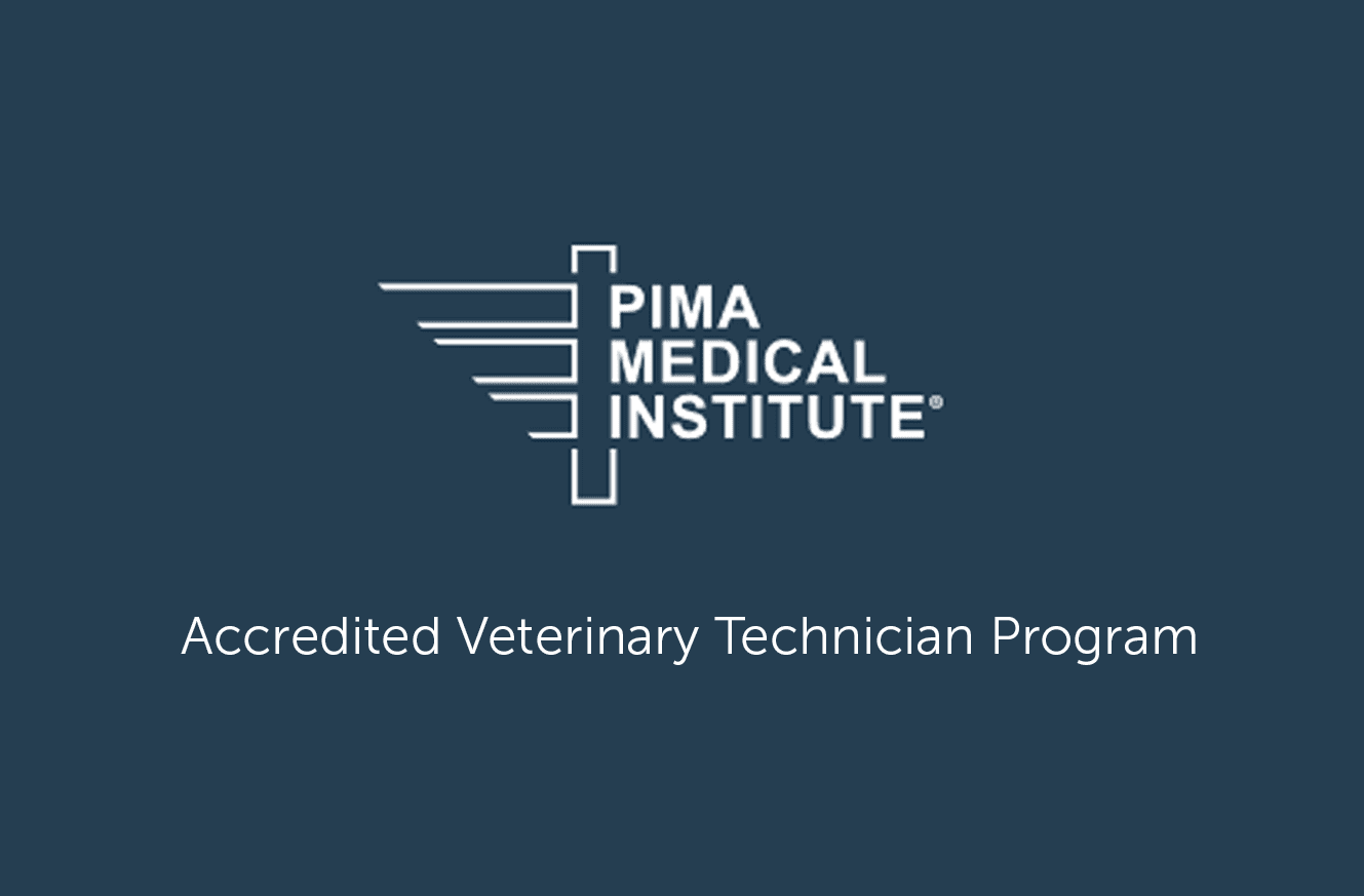 the-only-vet-tech-program-in-montana-university-of-montana-western
