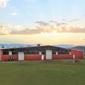 Montana Center for Horsemanship