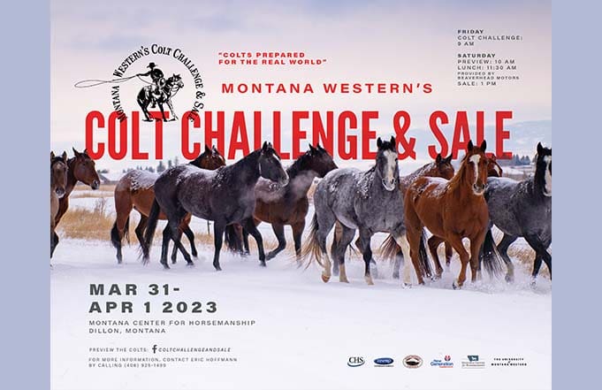 UMW and MCH to Host Annual Colt Challenge and Sale 