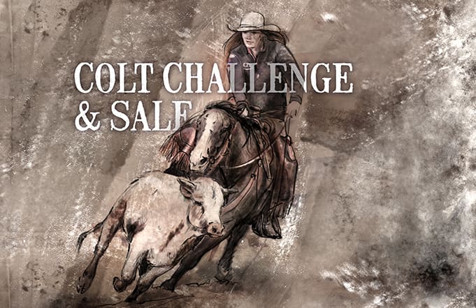 Colt Challenge and Sale