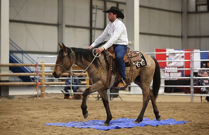 Jacob Christenson riding UMW's colt in the final round of the Idaho Horse Expo Collegiate Colt Competition.