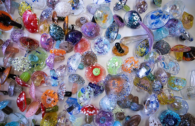  200 colorful glass mushrooms used for the Beaverhead County Treasure hunt.