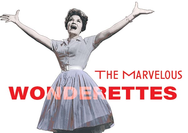This image has an empty alt attribute; its file name is Wonderettes-Thumbnail.jpg