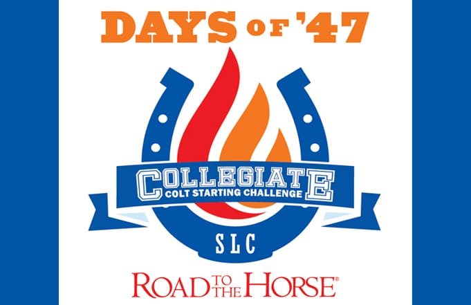 Umw Umw Students Invited To Compete In Road To The Horse Collegiate Colt Starting Challenge