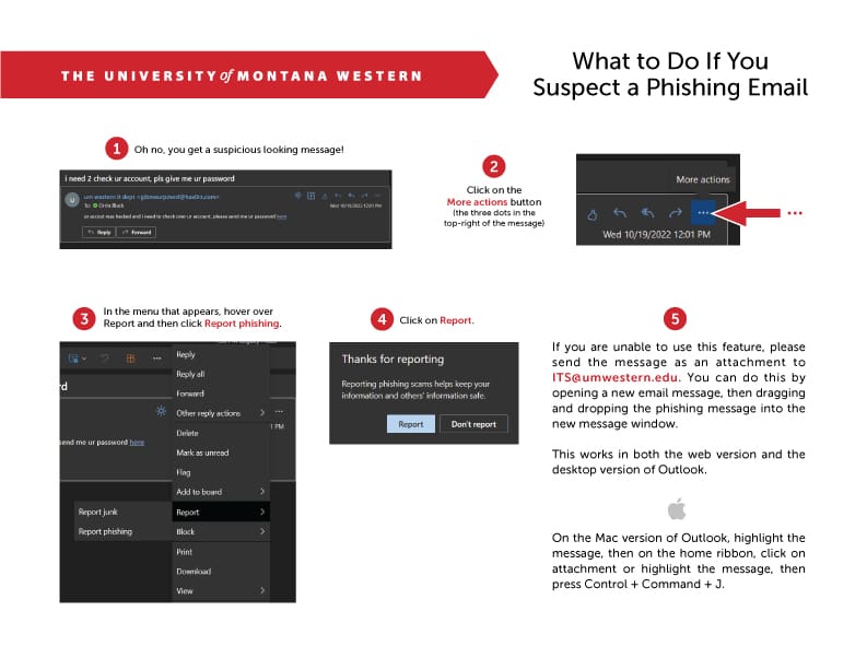 Infographic of what to do if you suspect a phishing email